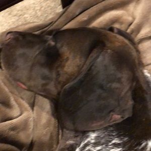 Meet your Posher, Russell